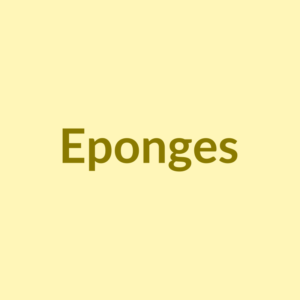 Lot de 6 éponges multi-usage